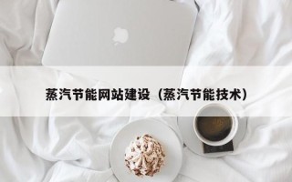 邵阳县蒸汽节能网站建设（蒸汽节能技术）